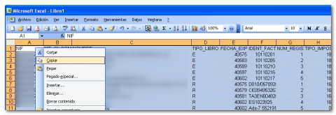 Copiado en Microsoft Excel