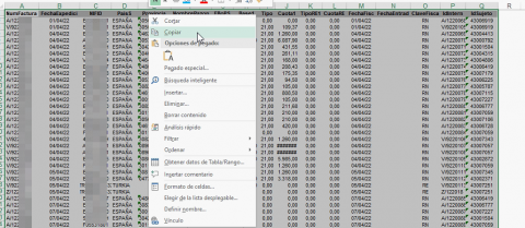 Selección y copiado de datos en Excel